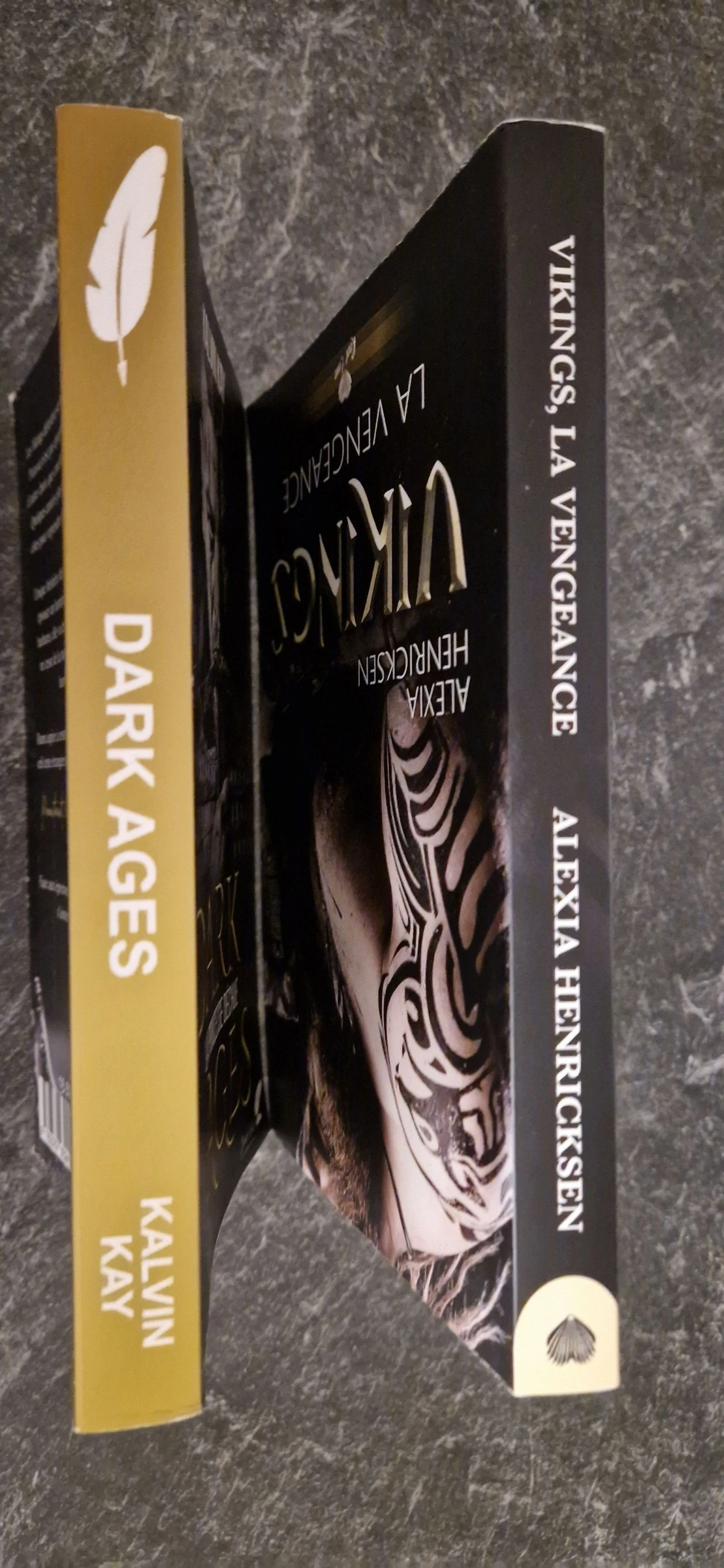 Lote de 2 livros Vikings – photo 6